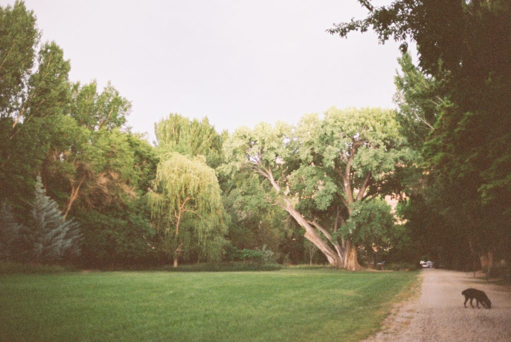 moab wedding photographer