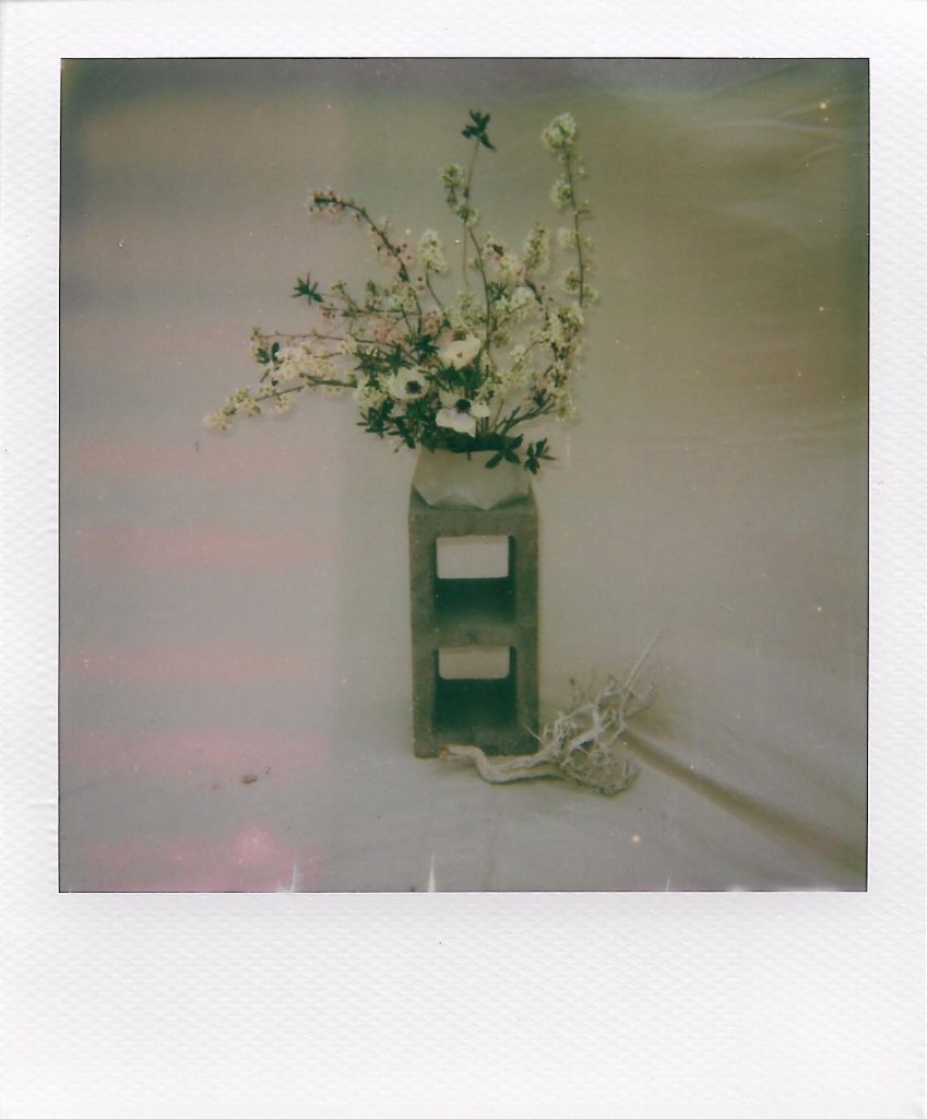 moab florist